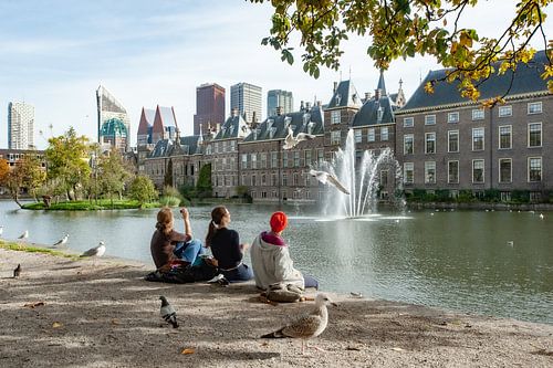 Young people enjoy themselves at court pond The Hague