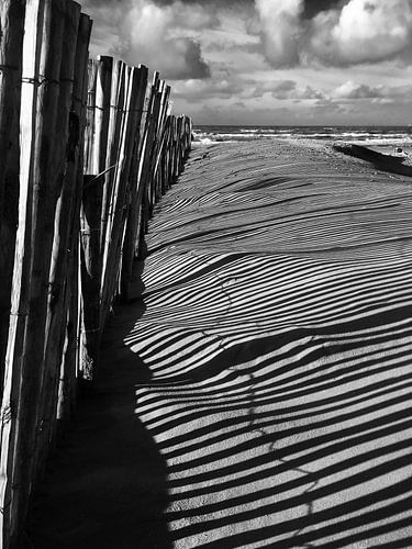 Schaduw op het strand