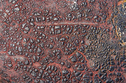 Teer auf einem Poller in Vlissingen