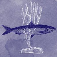 Delft blue sardine