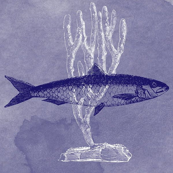 Delftsblauwe sardine van Jadzia Klimkiewicz