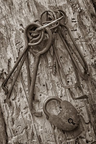 Master Key von Jörg B. Schubert