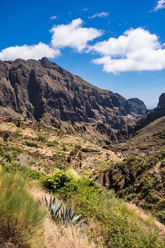 Landschaft auf der Kanarischen Insel Teneriffa