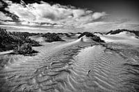Dunes on the beach of Lanzarote