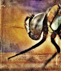 Dragonfly sur Margreet Faber