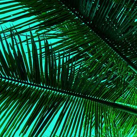 GREENERY PALM LEAVES v2 by Pia Schneider