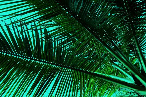 GREENERY PALM LEAVES v2 by Pia Schneider