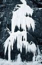 Eisklettern am gefrorenen Wasserfall von Menno Boermans Miniaturansicht