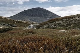 Norway | Muen peak in Rondane National Park by Dylan Winter Visuals