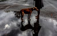 The Rains #03