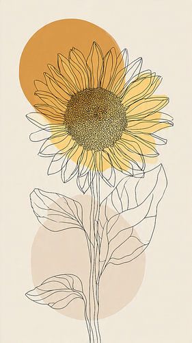 Minimalist sunflower