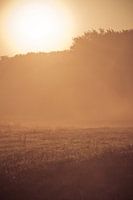 Sunrise-Naturschutzgebiet Niederlande