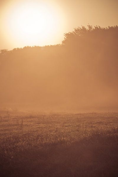 Sunrise nature reserve Netherlands by Kim de Groot
