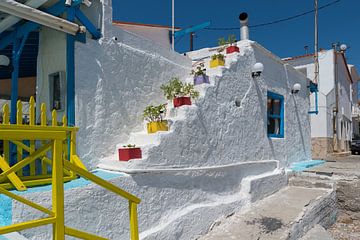 Greek stairs with plants by Rinus Lasschuyt Fotografie