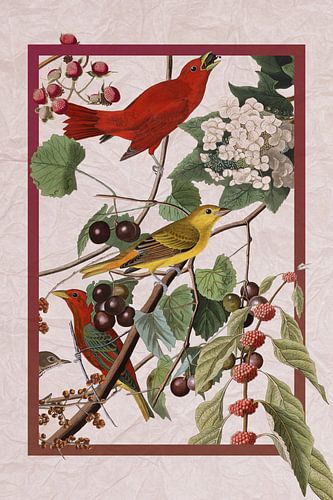 Redbirds in frame on crumpled paper by Jadzia Klimkiewicz