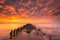 Bloodsky - Waddensea, The Netherlands