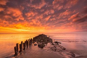 Bloodsky - Waddensea, Pays-Bas sur Bas Meelker