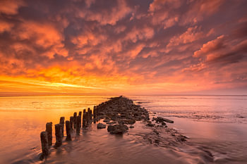 Bloodsky - Wattenmeer, Die Niederlande