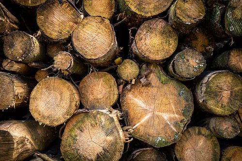 Houten stapel met boomstammen boven op elkaar abstract