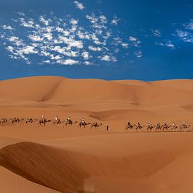 caravan in the desert by eric t'kindt