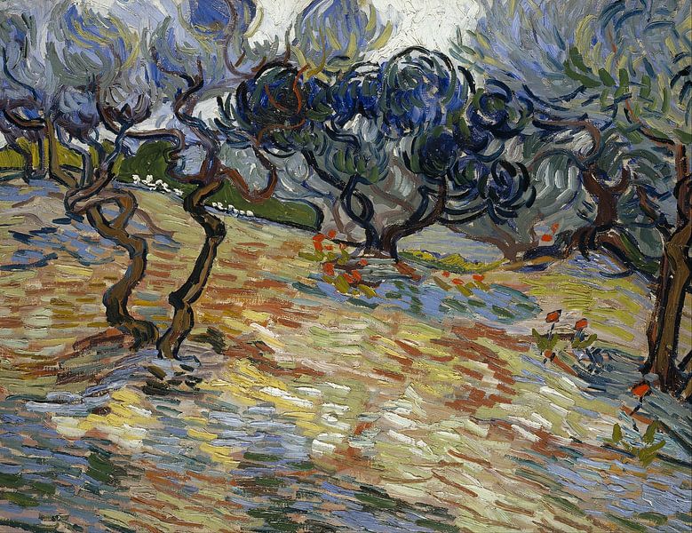 Oliviers, Vincent van Gogh - 1889 par Het Archief