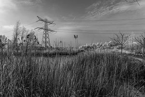 Le paysage des polders sur Ivo de Rooij