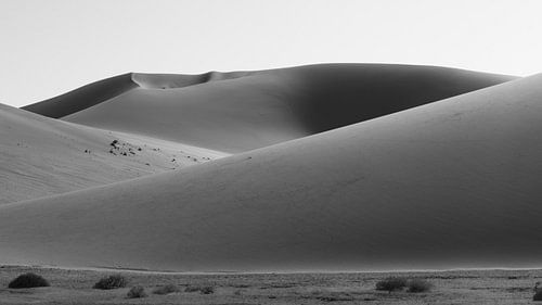 Dunes of Sossusvlei at sunrise