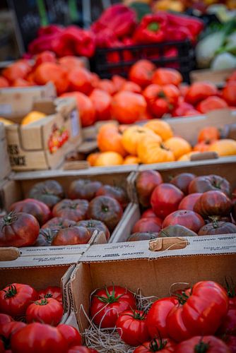Kleurige tomaten op een Franse markt