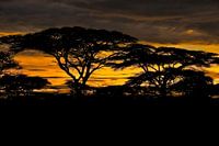 Malerischer afrikanischer Sonnenuntergang