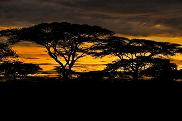 Schilderachtige Afrikaanse zonsondergang van Dirk-Jan Steehouwer