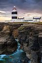 hook head by Daniela Beyer thumbnail