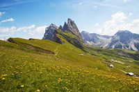 Naturpark Puez-Geisler