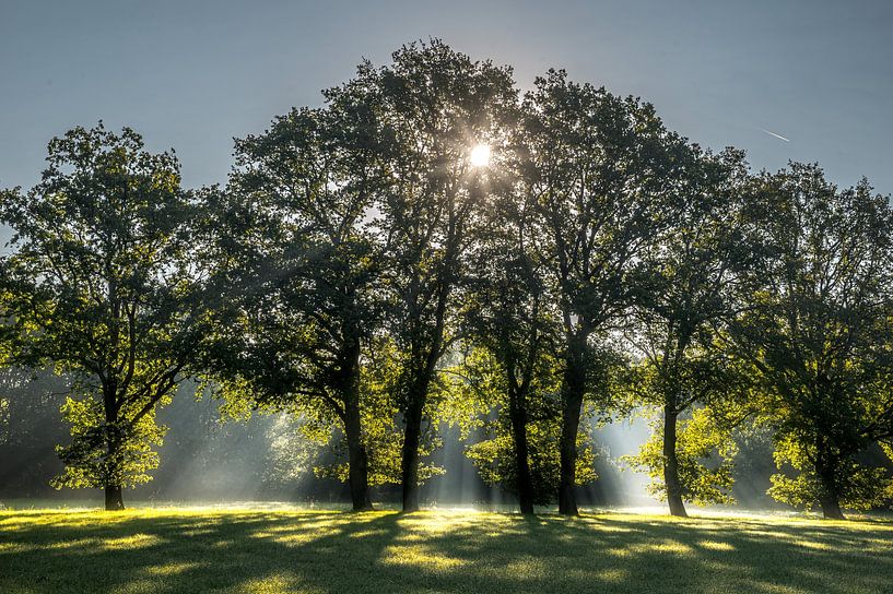 Magisch licht van Verliefd op Utrecht