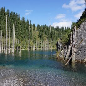 Bomen in het meer door een aardverschuiving in Kazachstan van Lindy van Oirschot