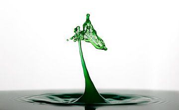 green drop by Monique de Koning