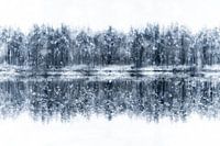 Sprookjesachtige winter - Finland