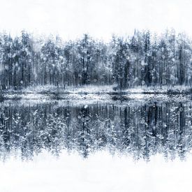 Sprookjesachtige Winter van Yanuschka | Fotografie Noordwijk