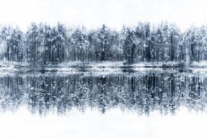 Winterbos