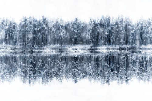 Märchenhafter Winter - Finnland von Yanuschka | Fotografie Noordwijk