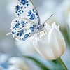 Delfts Blauwe Vlinder op Witte Tulp van Studio Ypie