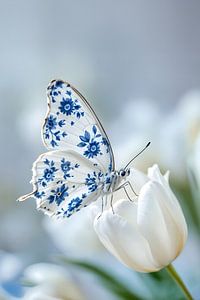 Delfts Blauwe Vlinder op Witte Tulp