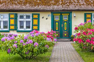Schönes altes Reetdachhaus in Zingst