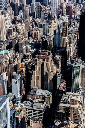 New Yorker