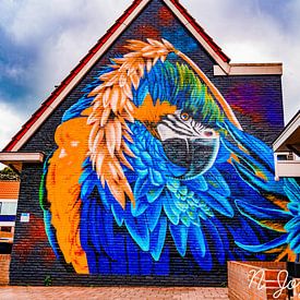Murals Sluiswijk Hanzestad Deventer. by N-Joy Pictures