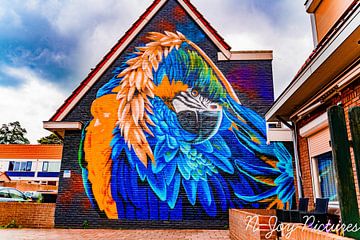 Murals Sluiswijk Hanzestad Deventer. by N-Joy Pictures