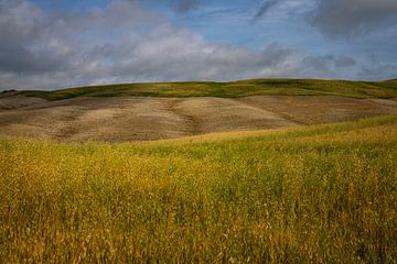 Rollende Weizenfelder in der Toskana von Bo Scheeringa Photography