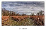 Poster Tweesprong Baneheide by John Kreukniet thumbnail