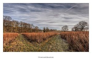 Poster Tweesprong Baneheide