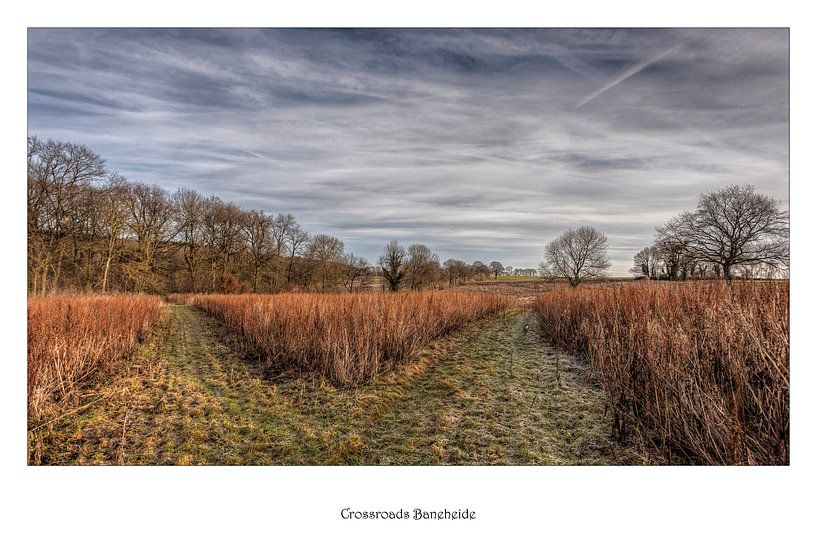 Poster Tweesprong Baneheide by John Kreukniet