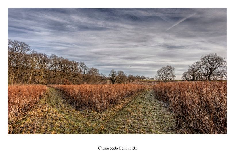 Poster Tweesprong Baneheide van John Kreukniet